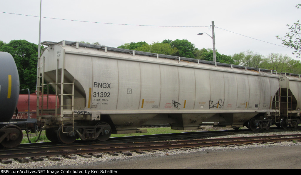 BNGX 31392